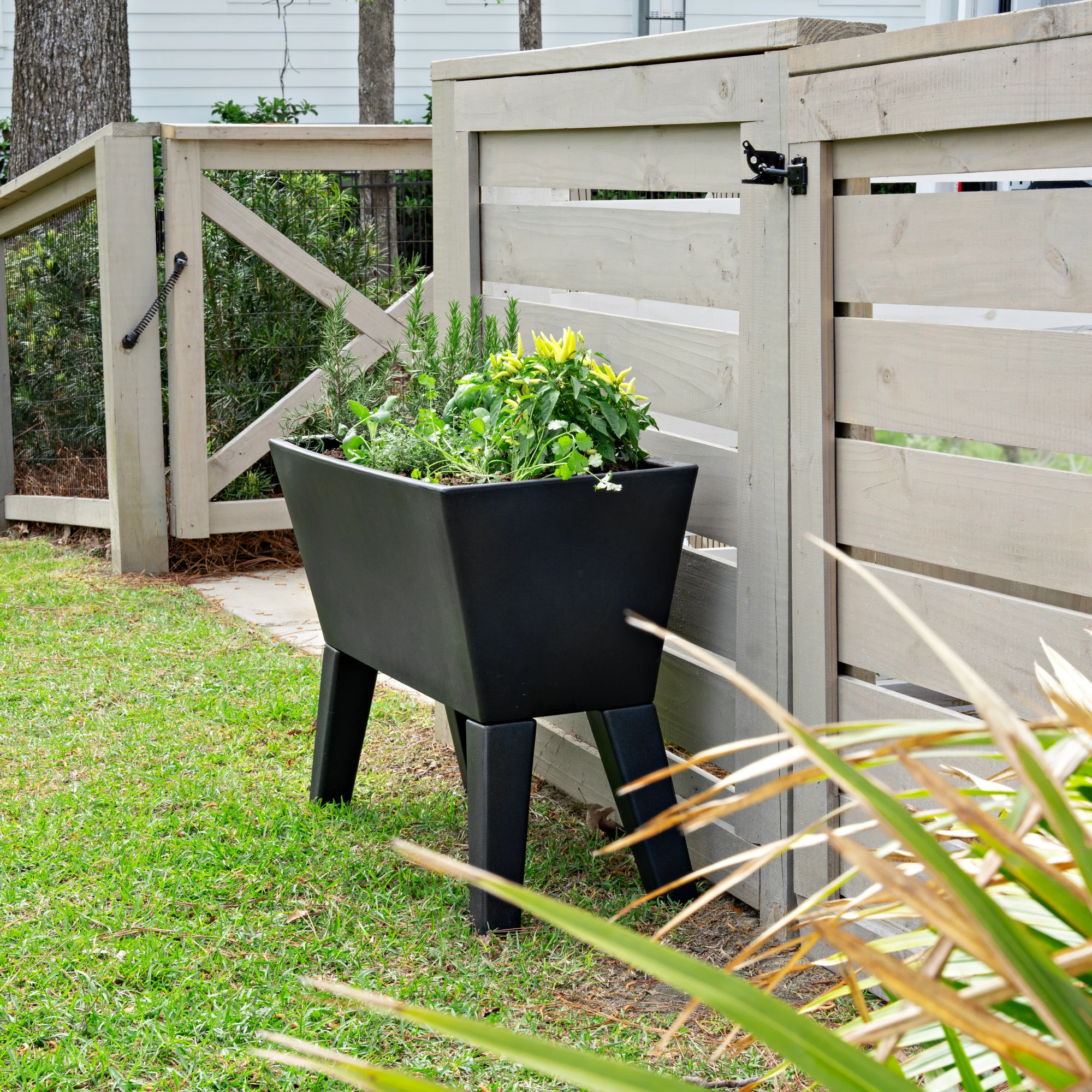 Tremont Raised Planter™ - Image 9